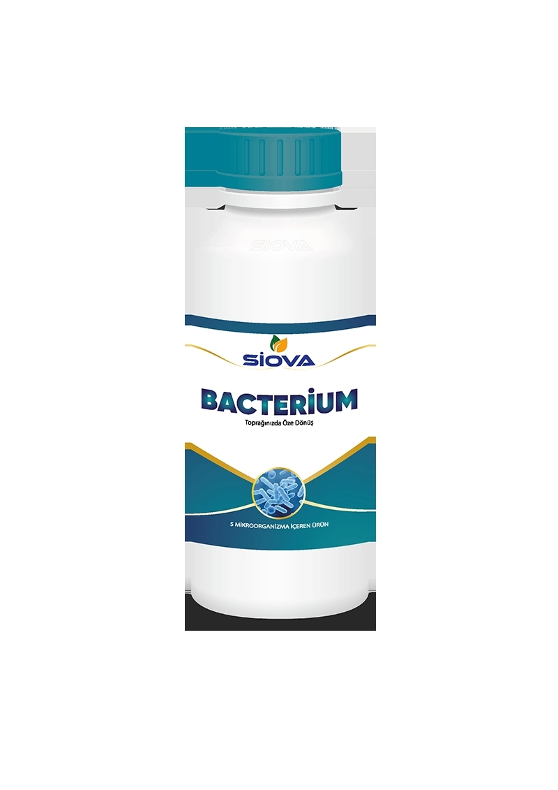 SİOVA BACTERİUM 1 LT.