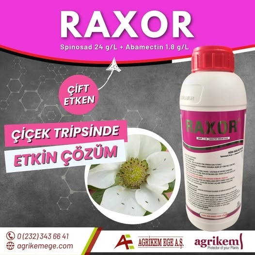 RAXOR 1 Lt.