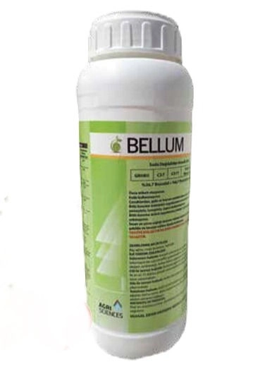 BELLUM WG  0.5 KG.