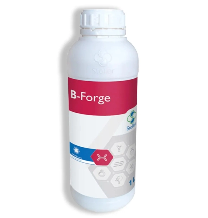 B Forge 1 Lt.