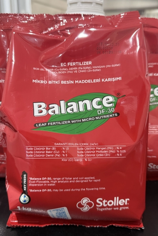 BALANCE DF-30 1 Kg.