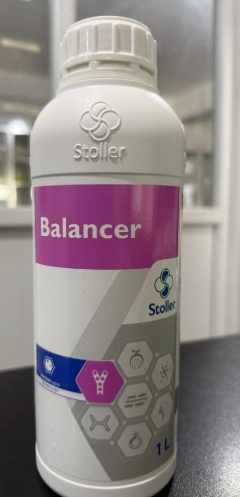 BALANCER 1 LT.