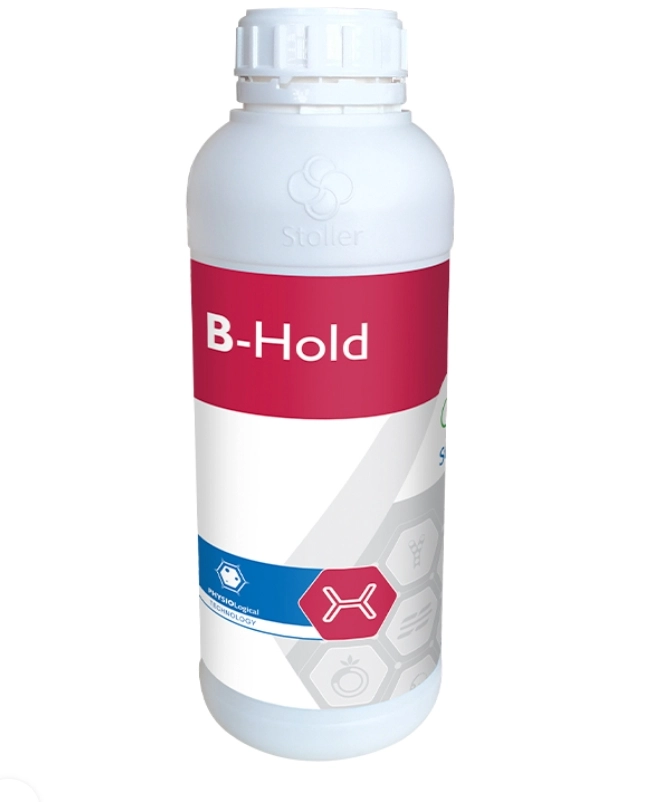 B-HOLD 1 Lt.