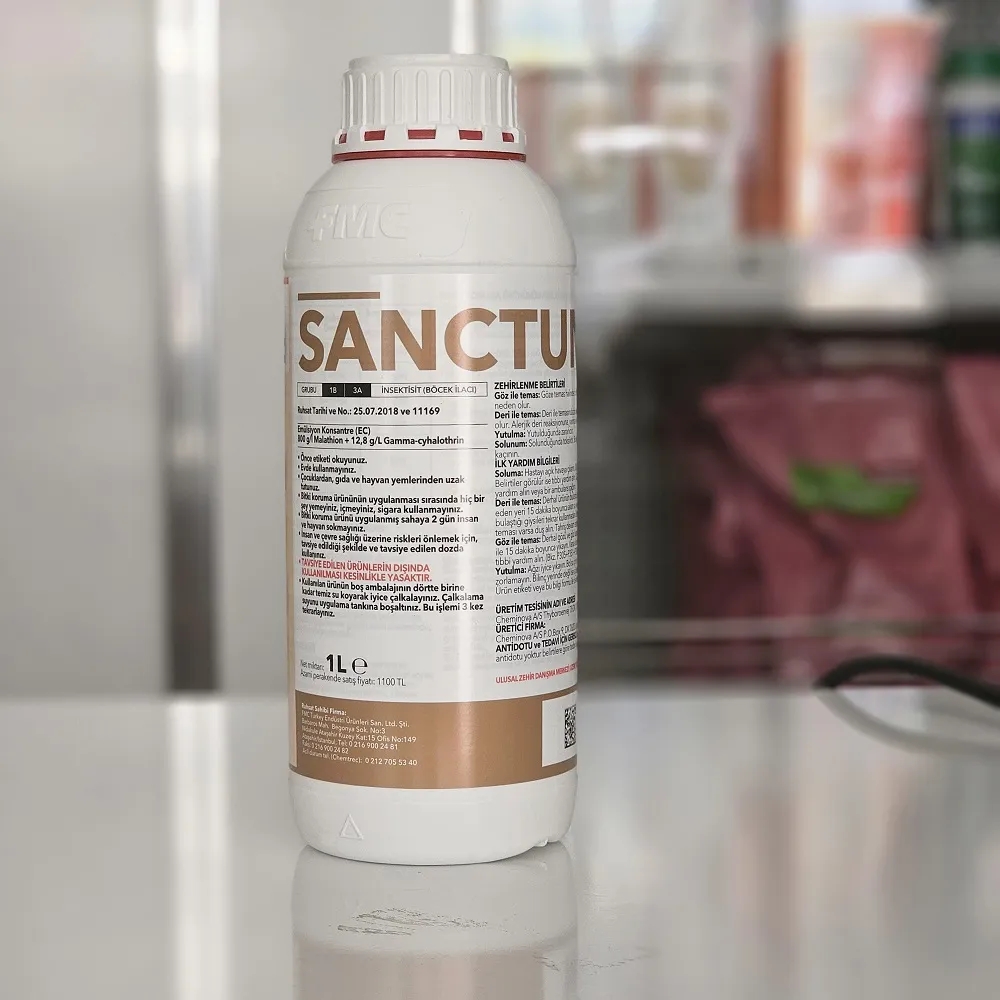SANCTUM 1 Lt.