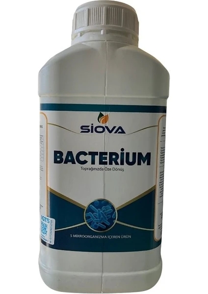 SİOVA BACTERİUM 5 LT.