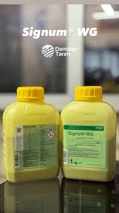 Signum WG 1 Kg.