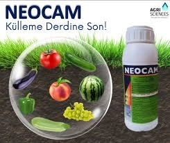Neocam 250 cc.(Luna experiance Muhadili)