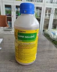 SUPER GALLANT™   1 Lt.