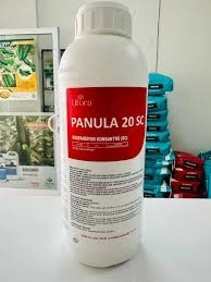 PANULA 20 SC 1 Lt.