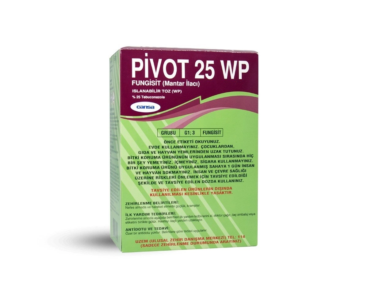 PİVOT  25 WP 600 GR.