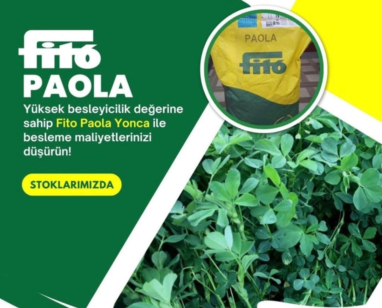 Paola Kaplı  Yonca  Tohumu 10 Kg.(İthal -Sertifikalı)
