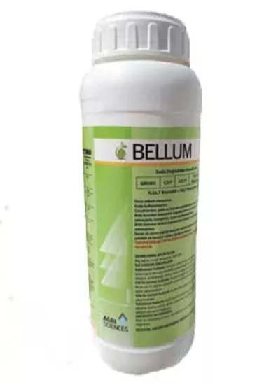 BELLUM WG  0.5 KG.