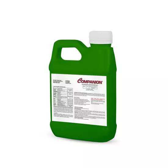 Companion 1 Lt.(Biyolojik Fungusit)
