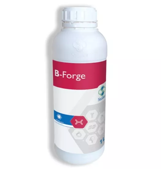 B Forge 1 Lt.
