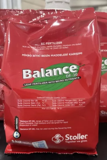 BALANCE DF-30 1 Kg.