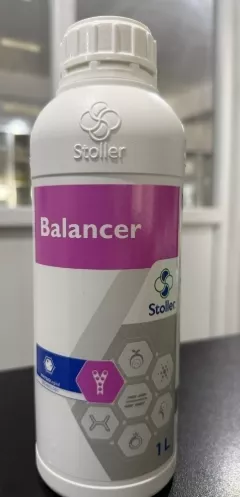 BALANCER 1 LT.
