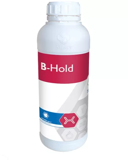B-HOLD 1 Lt.