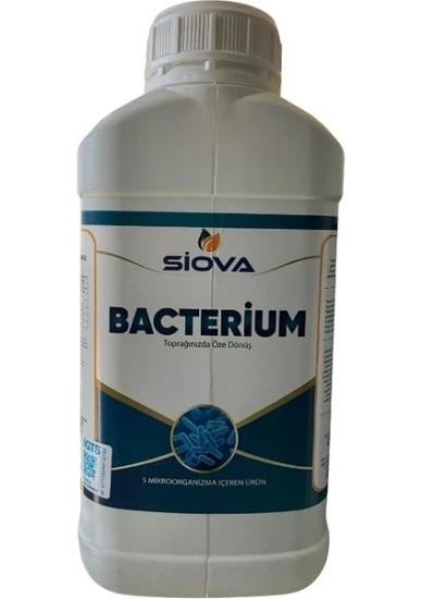 SİOVA BACTERİUM
