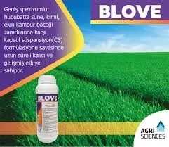 BLOVE 1  LT.