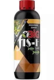 BIG FISH 5 Lt.(Aminoasit + Denizyosunu)