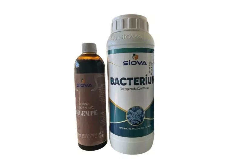 SİOVA BACTERİUM