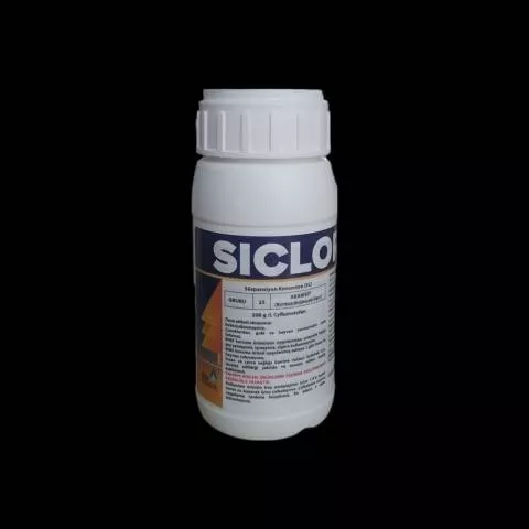 SICLOR 200 CC.