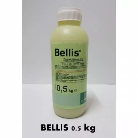 Bellis 0,5 kg