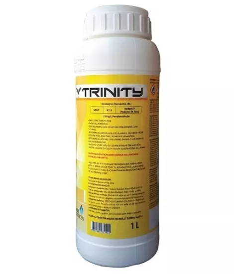 TRINITY1 LT .