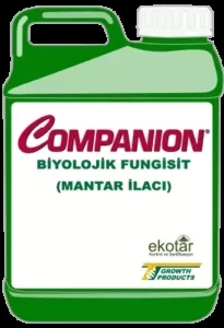 Companion 1 Lt.(Biyolojik Fungusit)