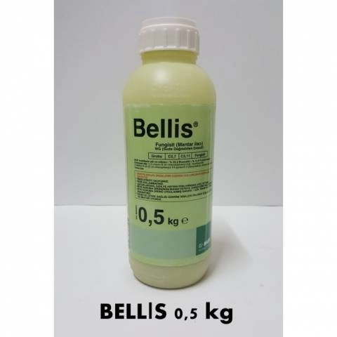 Bellis 0,5 kg