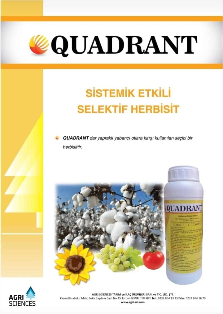 QUADRANT 1 LT.