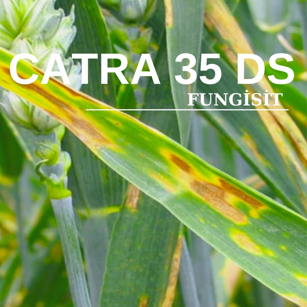 CATRA  35 DS 600 GR.